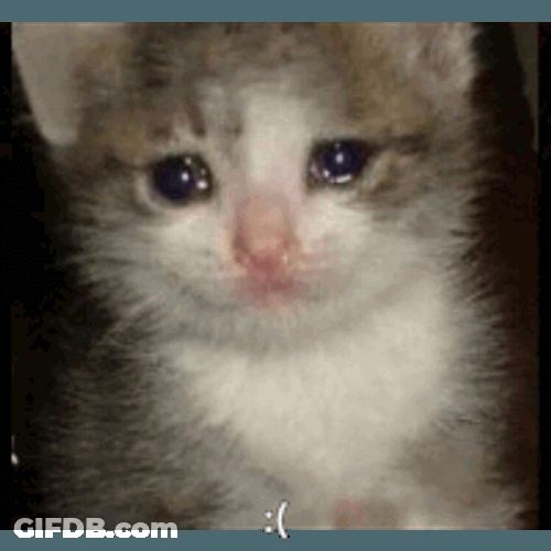 Bubu Mad Sticker GIF