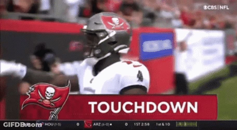 Buccaneers Chris Godwin Giving Touchdown Football To Fan GIF