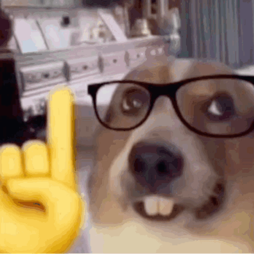 Buck Teeth Nerd Dog And Human Meme GIF