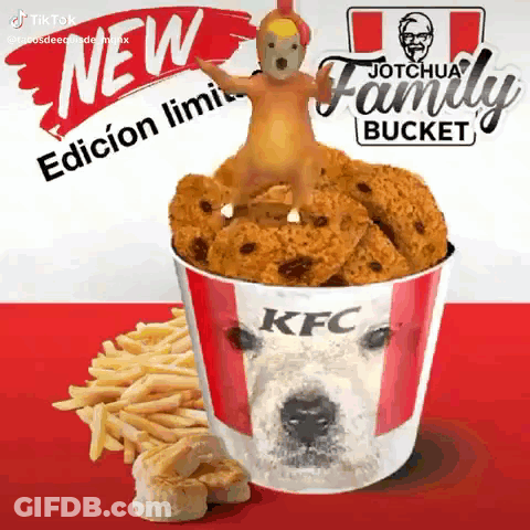 Bucket Of KFC Chicken And French Fries With Toy Chicken GIF