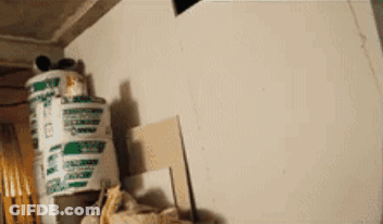 Bucket Stack With Green And White Label A GIF