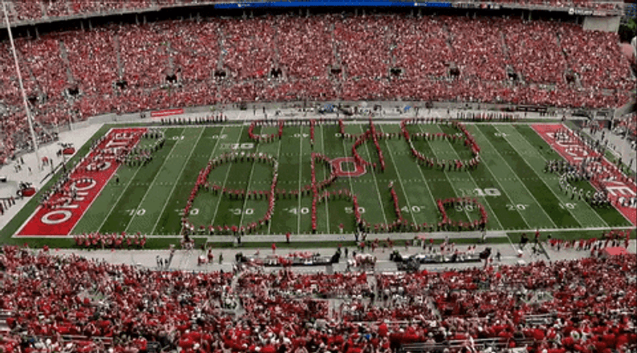Buckeyes Ohio State Field GIF
