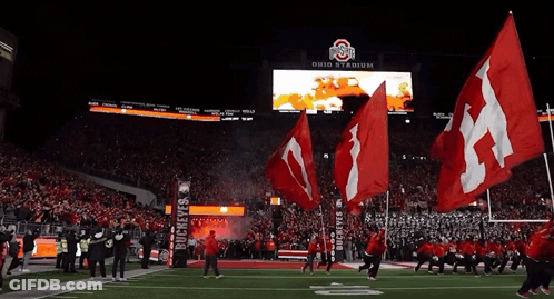 Buckeyes Players Running On Field GIF
