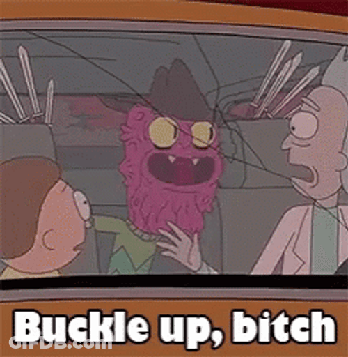 Buckle Up Rick And Morty GIF