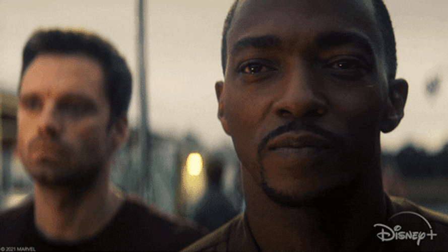 Bucky Barnes Winter Soldier Falcon Smile GIF