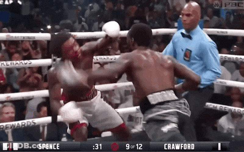 Bud Crawford Fight Stoppage GIF
