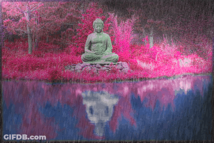 Buddha Statue Sitting Under The Rain GIF