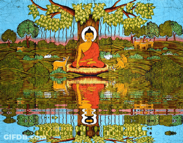 Buddha With White Halo Water Reflection GIF