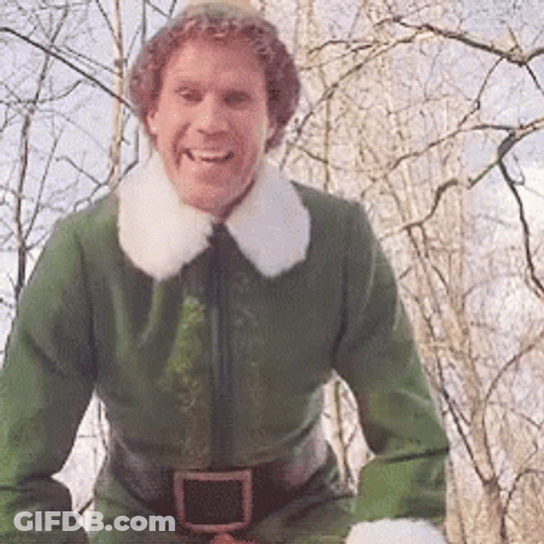 Buddy The Elf Scary Racoon GIF