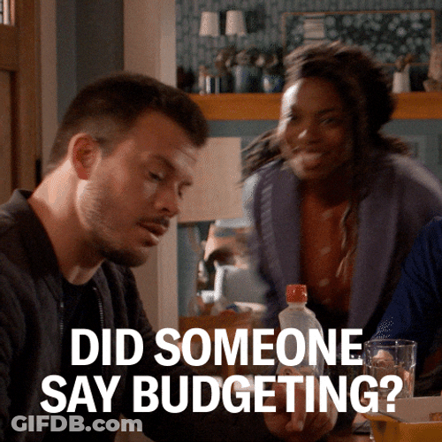 Budget Topic Reactivate Sasheer Zamata GIF