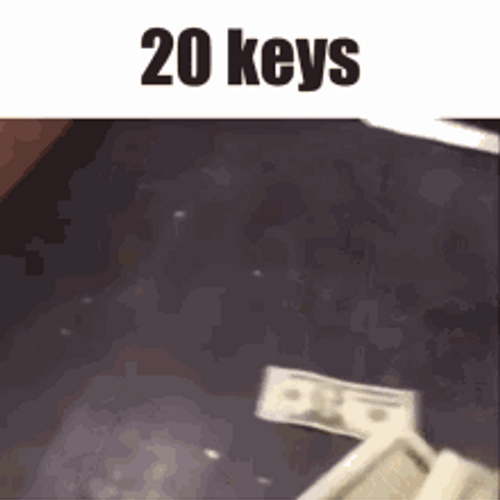Budgeting Money Money Money Meme GIF