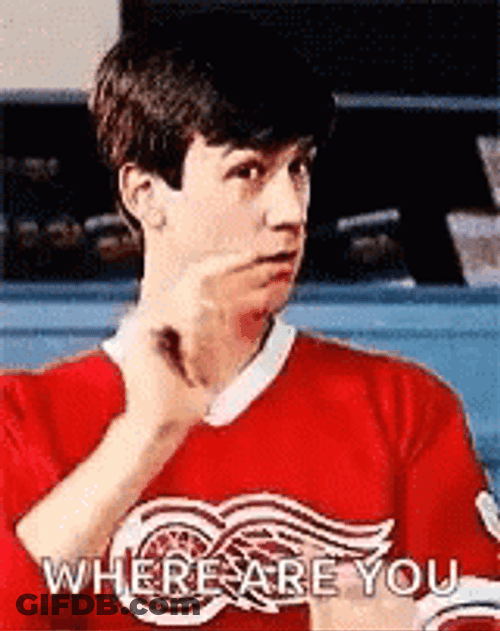 Bueller Cameron Frye Where Are You GIF