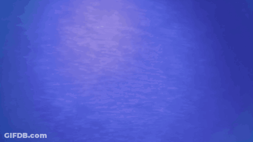 Buena Vista International Television Is A Disney Company GIF