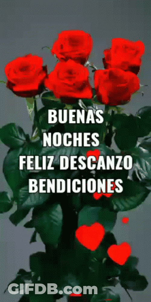 Buenas Noches Bendiciones GIF