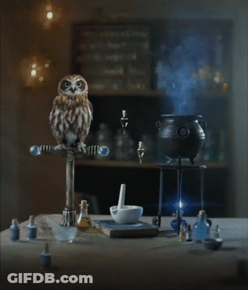 Buenas Noches Buho GIF