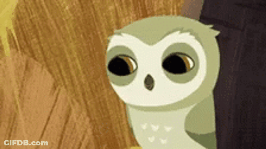 Buenas Noches Buho GIF