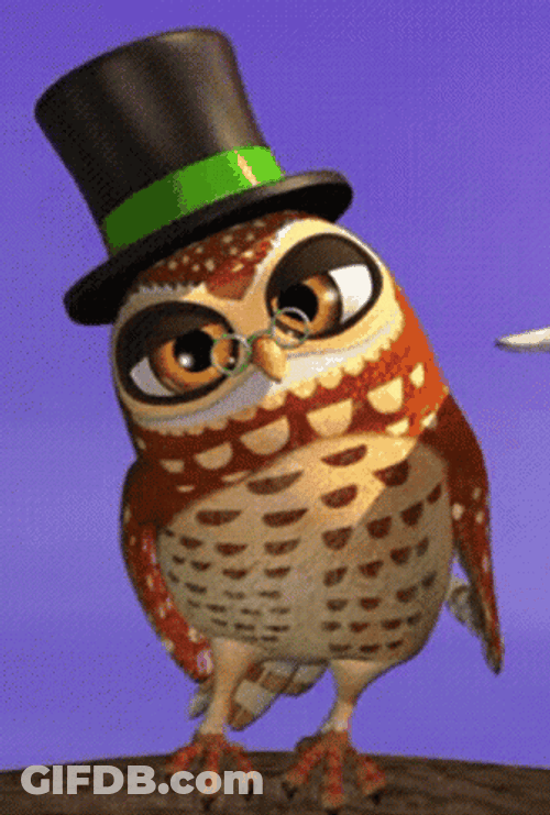Buenas Noches Buho GIF