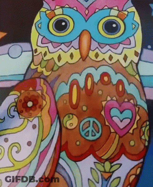 Buenas Noches Buho GIF