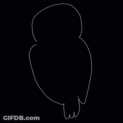 Buenas Noches Buho GIF