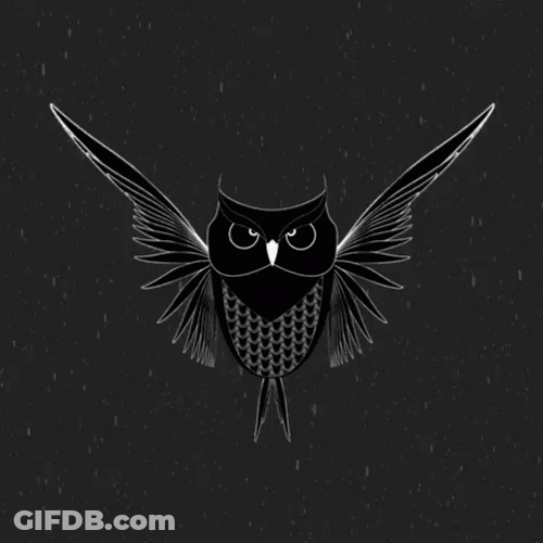 Buenas Noches Buho GIF