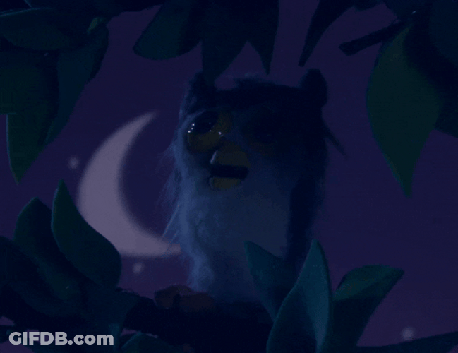 Buenas Noches Buho GIF