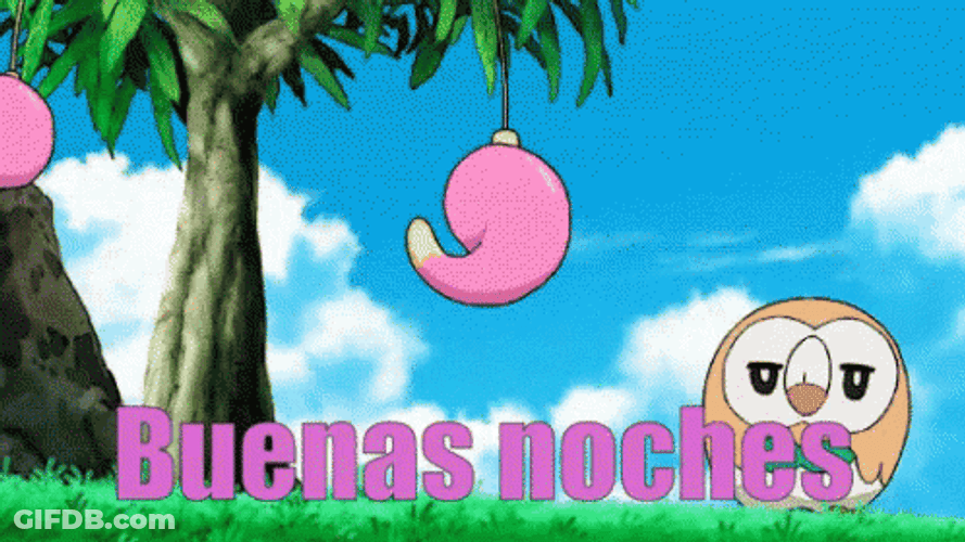 Buenas Noches Buho GIF
