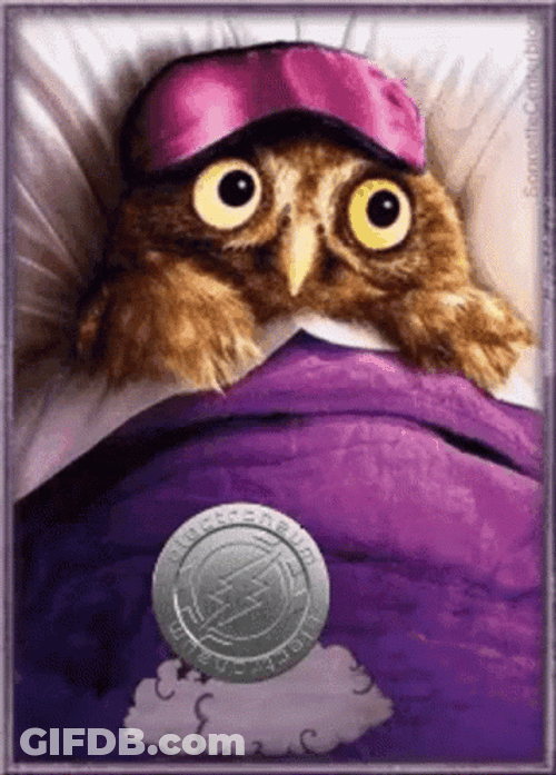 Buenas Noches Buho GIF