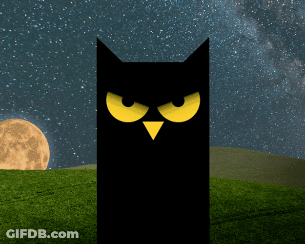 Buenas Noches Buho GIF