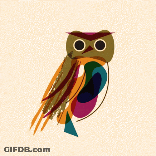 Buenas Noches Buho GIF