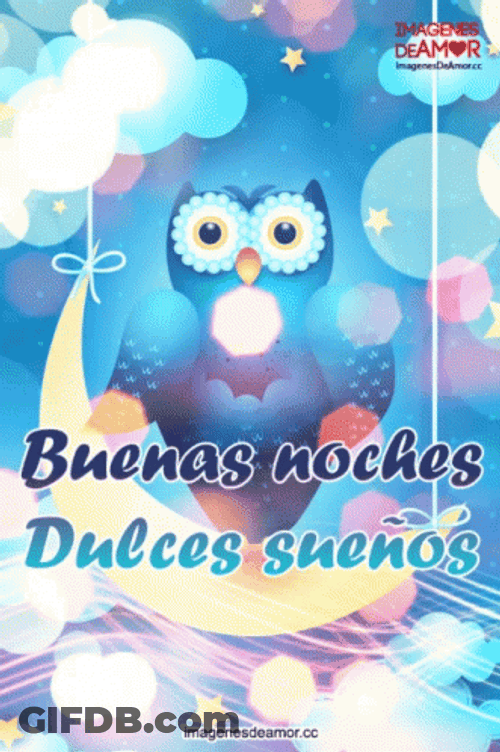 Buenas Noches Buho GIF