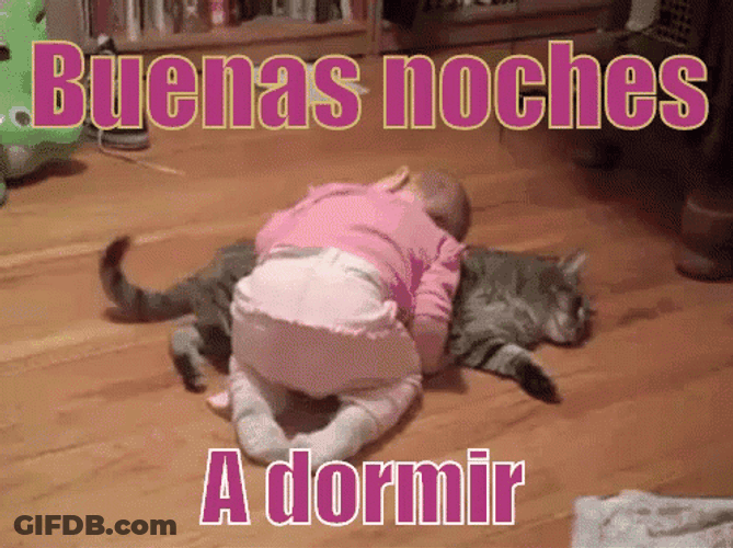 Buenas Noches Con Frio GIF
