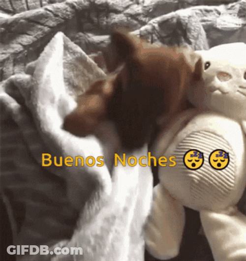 Buenas Noches Con Frio GIF