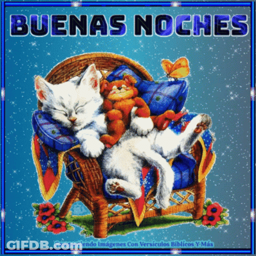 Buenas Noches Con Frio GIF