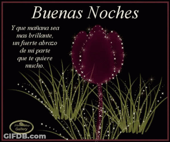 Buenas Noches Con Frio GIF