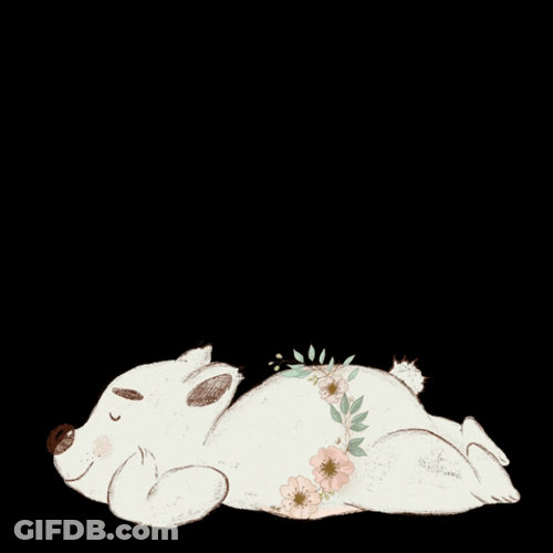 Buenas Noches Dulces Sueños GIF