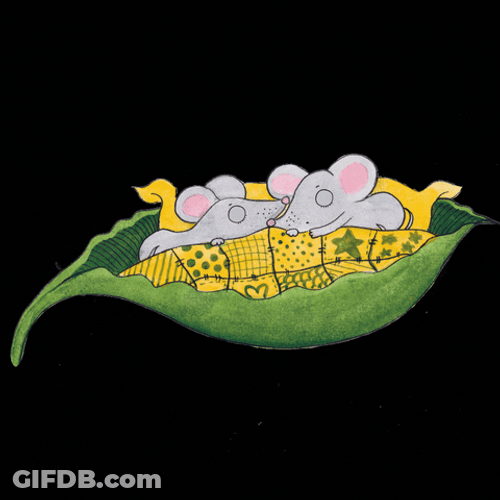 Buenas Noches Dulces Sueños GIF