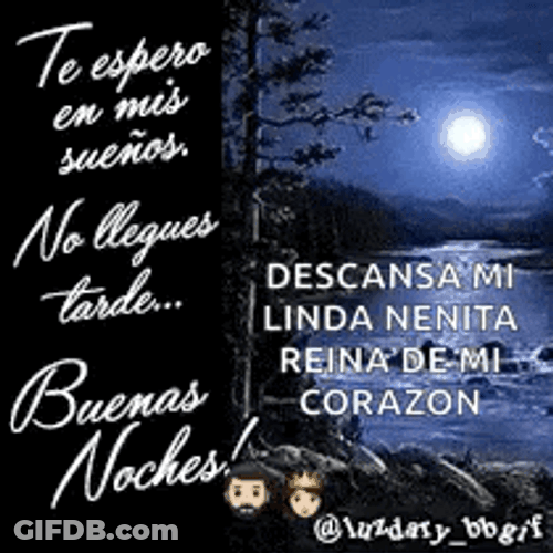 Buenas Noches Feliz Descanso GIF