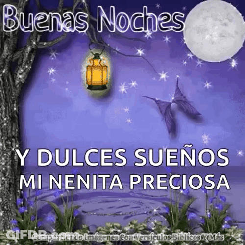 Buenas Noches Feliz Descanso GIF