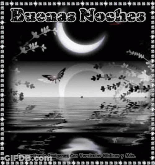 Buenas Noches Feliz Descanso GIF