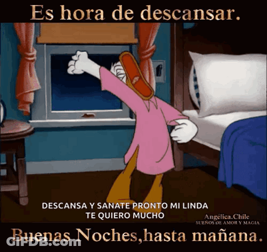 Buenas Noches Feliz Descanso GIF
