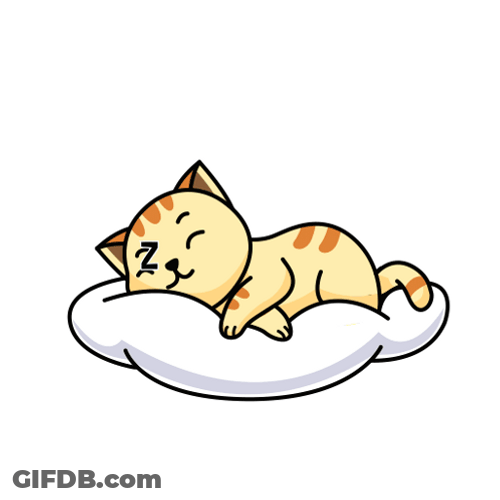 Buenas Noches Gatos GIF