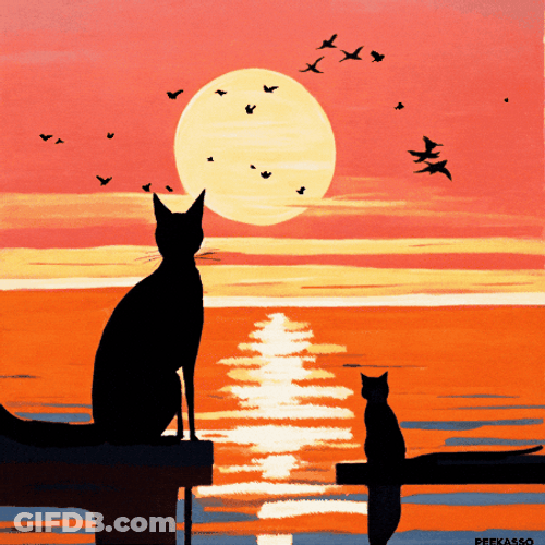 Buenas Noches Gatos GIF