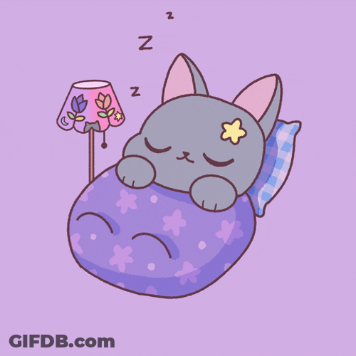 Buenas Noches Gatos GIF