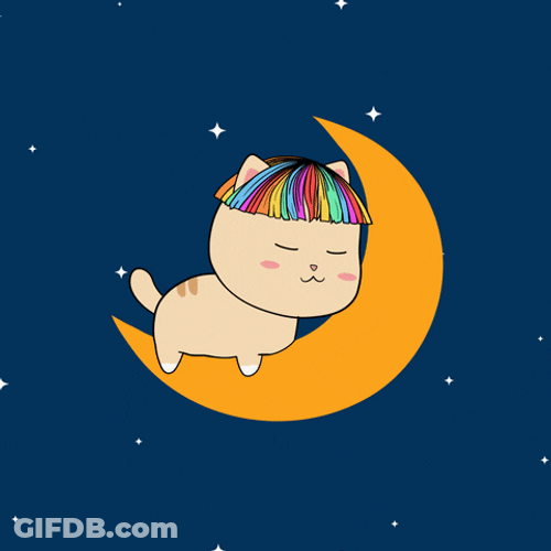 Buenas Noches Gatos GIF