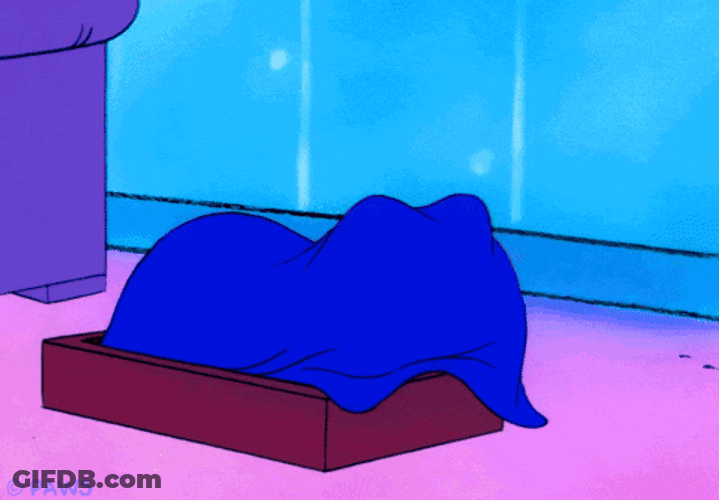 Buenas Noches Gatos GIF
