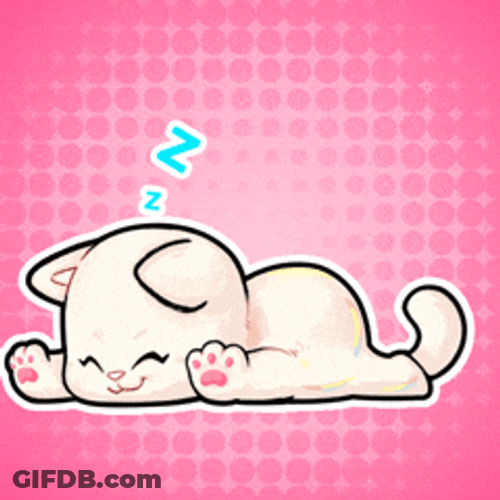 Buenas Noches Gatos GIF