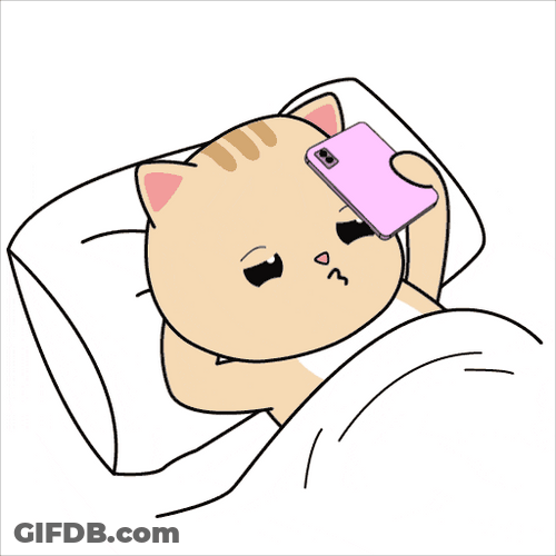 Buenas Noches Gatos GIF