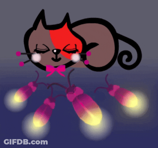 Buenas Noches Gatos GIF