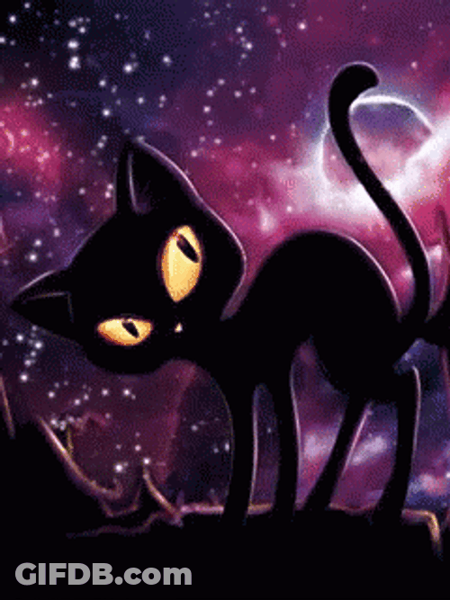 Buenas Noches Gatos GIF