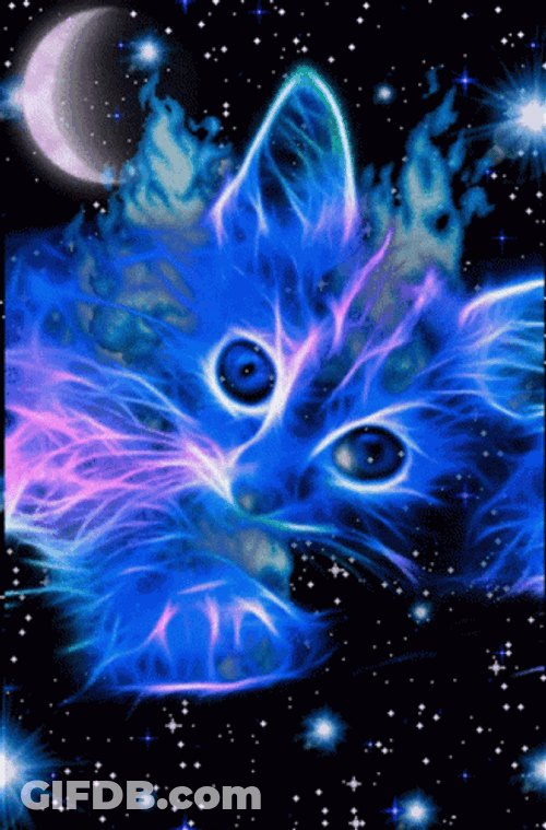Buenas Noches Gatos GIF